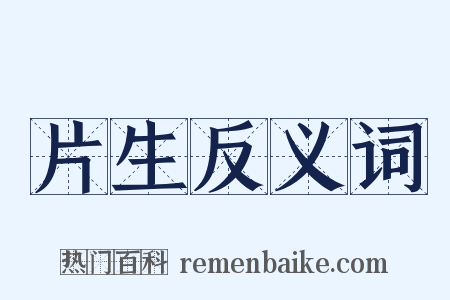 片生反义词是什么意思的图片